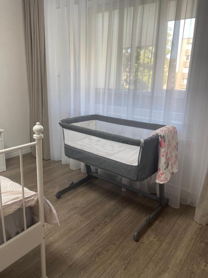 Apartments In The City Center Birzai Vytauto G22 Ngoại thất bức ảnh